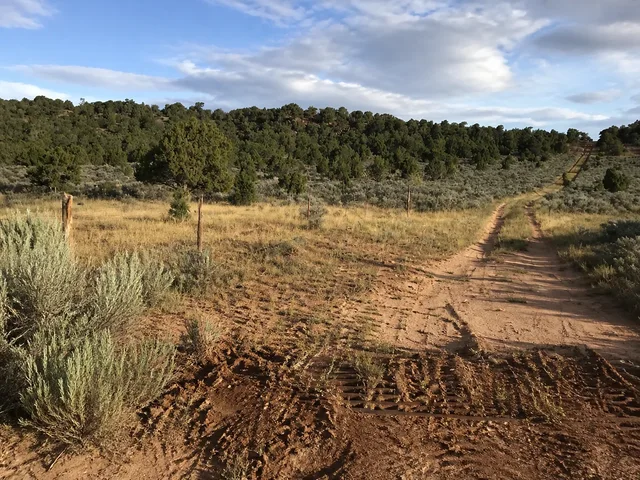the rutted road beyond the cattle guard on Yampa Bench Road in Dinosaur National Monument.