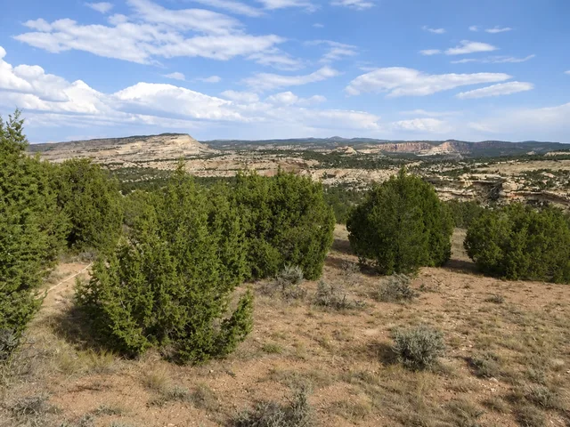 the layered canyon landscape on Yampa Bench Road in Dinosaur National Monument.