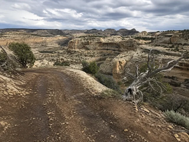 the trailhead and canyon edge on Yampa Bench Road in Dinosaur National Monument.