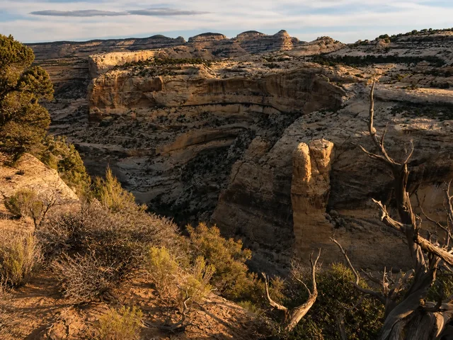 the canyon walls beside the trailhead on Yampa Bench Road in Dinosaur National Monument.
