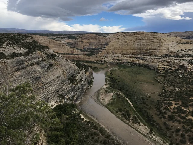 the Yampa River corridor below the point on Yampa Bench Road in Dinosaur National Monument.