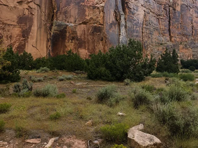 the canyon walls at Echo Park on Yampa Bench Road in Dinosaur National Monument.