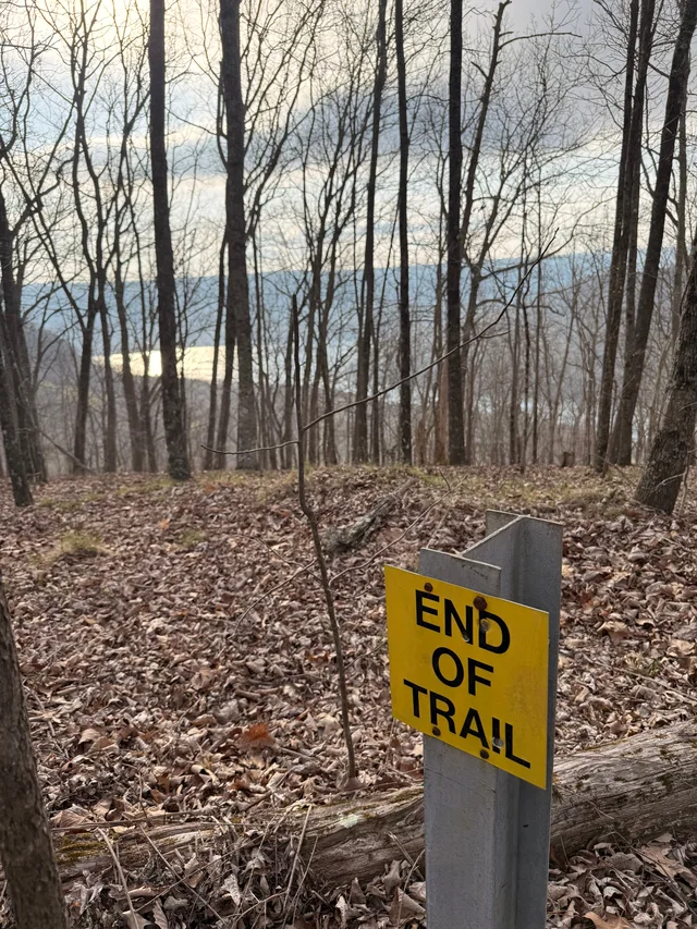 Prentice Cooper State Park - End of Moore Road trail photo 3