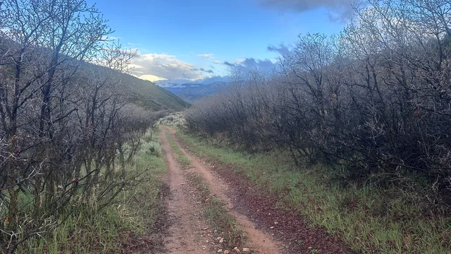 Lawson Draw Wildlife Management Area community-submitted photo 2