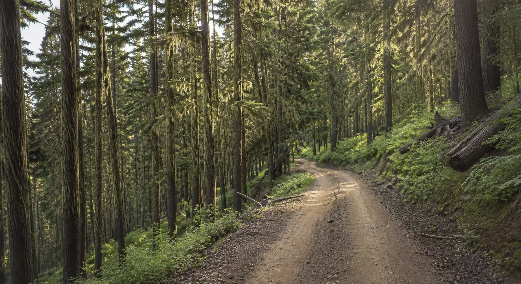 The Lolo Motorway in a forested mountain area