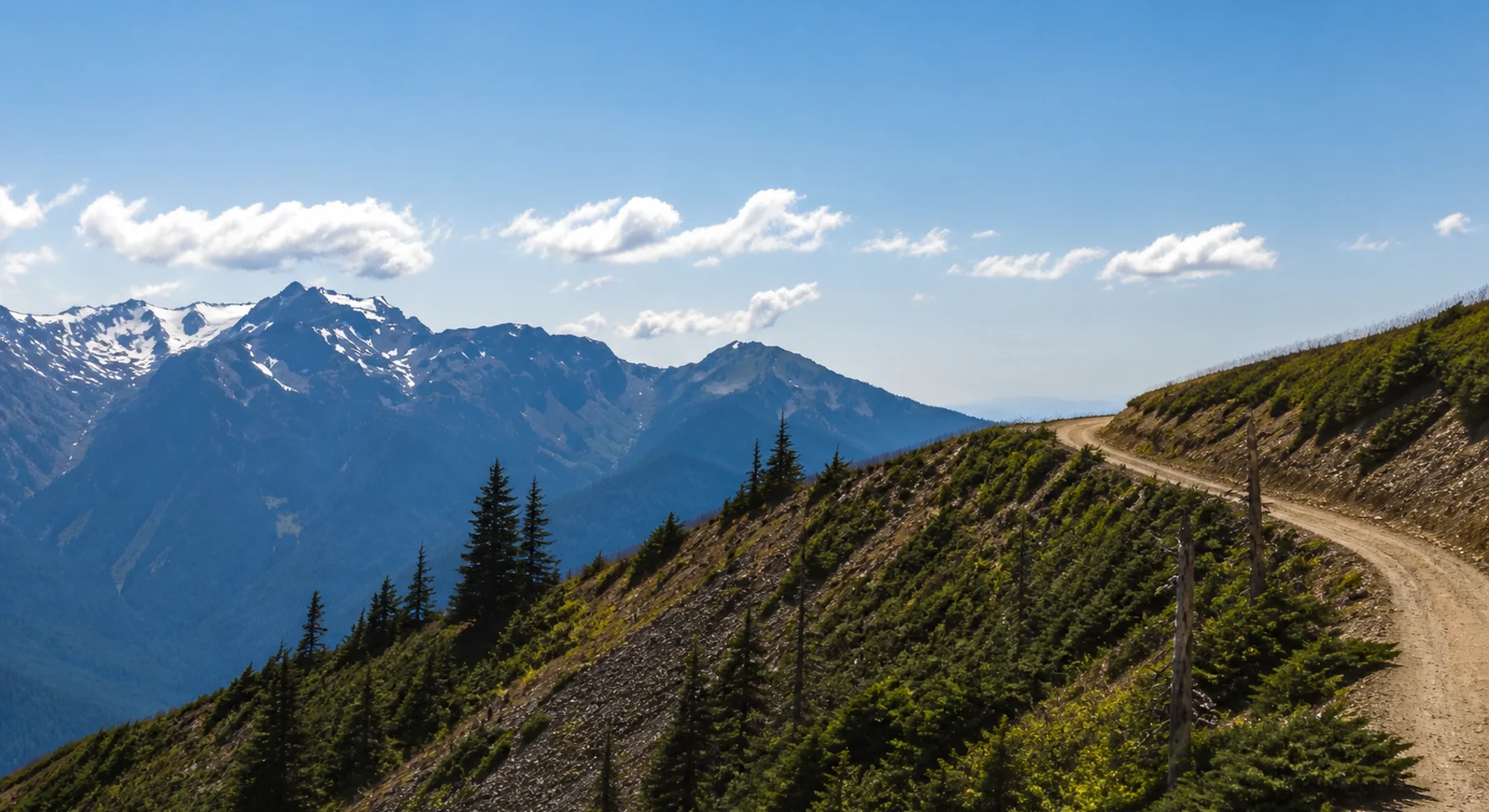 Obstruction Point Road in Washington