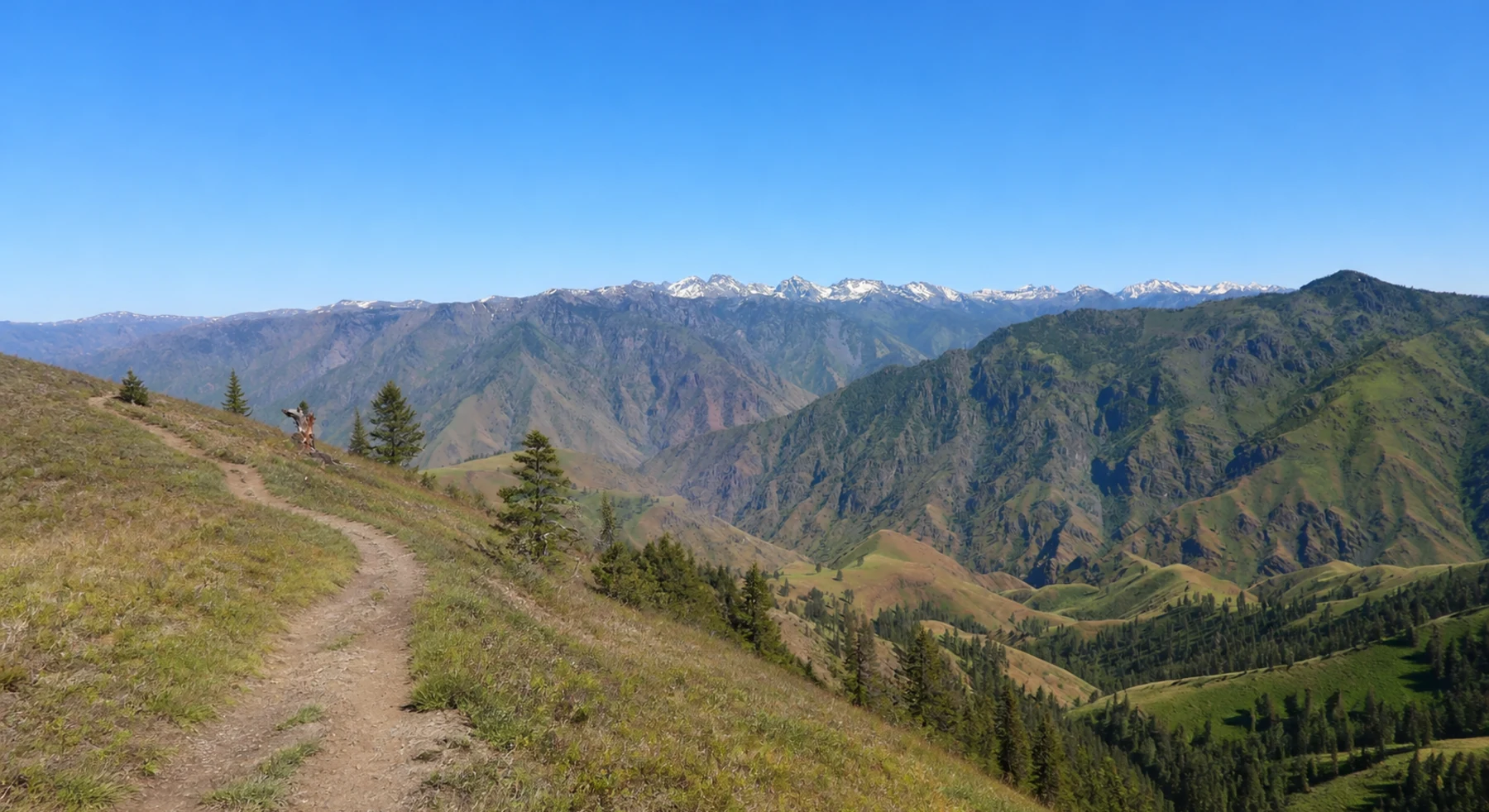 An expansive mountain and canyon vista from Hat Point in Oregon