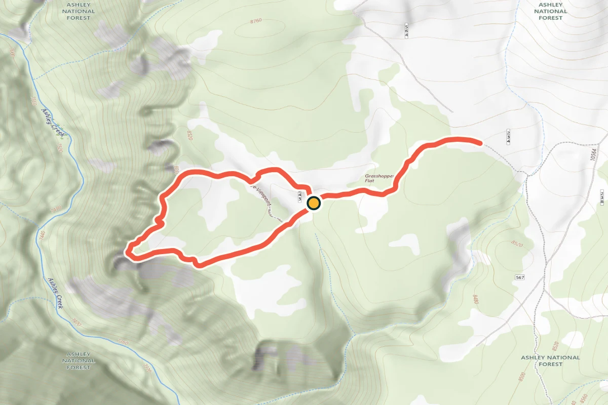 USGS topographic map of Ashley Gorge Viewpoint and its cliff-edge loop