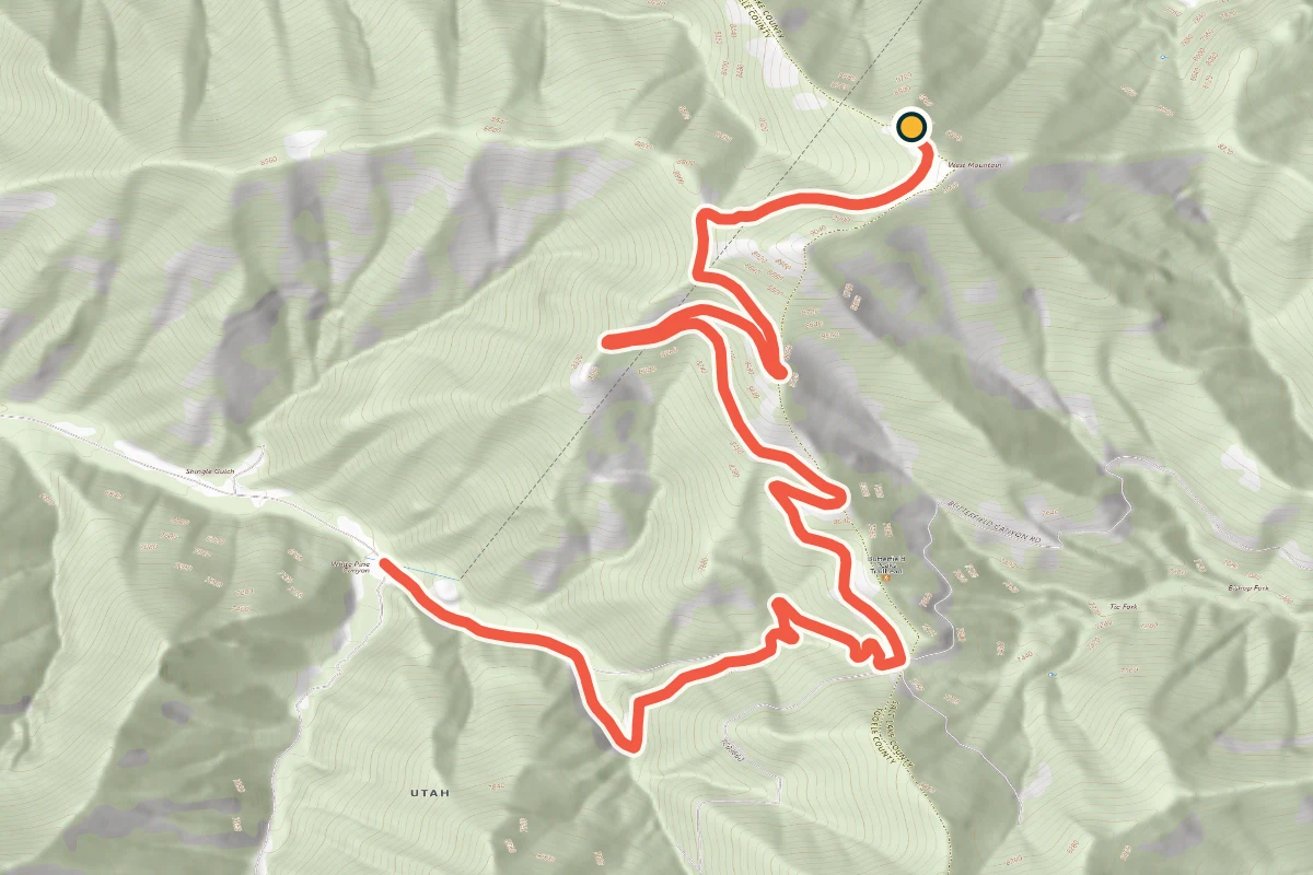 USGS topographic map of Middle Canyon Road to the Copper Mine Overlook