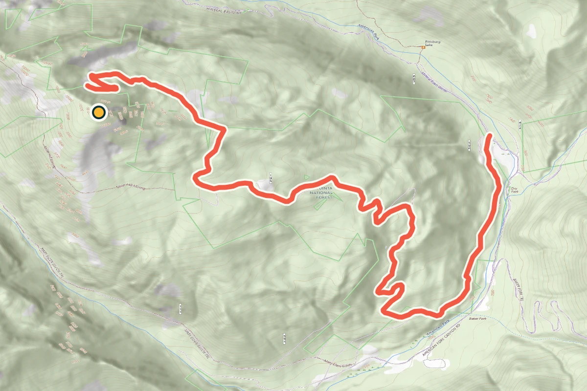 USGS topographic map of Forest Road 596 below Miller Hill