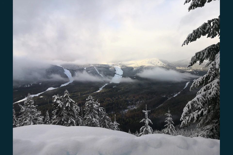 Snow-covered firs frame cloud-wrapped mountain slopes and a broad valley from the Amabilis Mountain road.