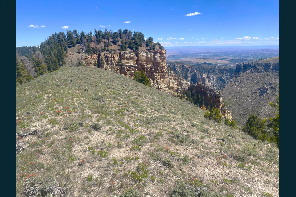 A high meadow ending at the pale limestone rim of Ashley Gorge beneath a broad sky.