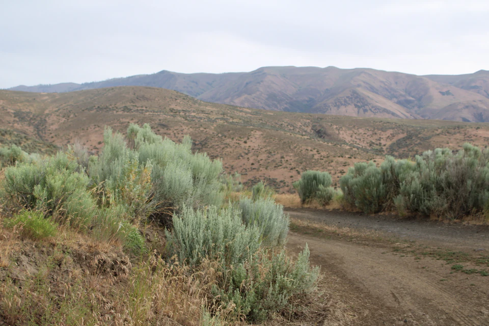 Dirt road curving through sagebrush across Bethel Ridge, with dry mountain ridges beyond.