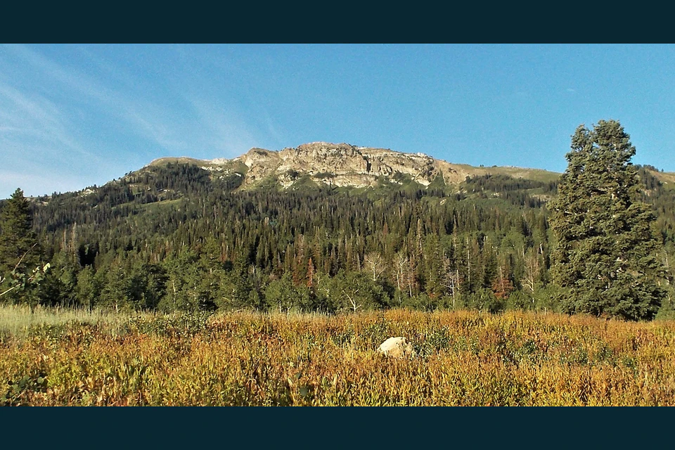 The northeast face of Bountiful Peak viewed from grassy Farmington Flats.