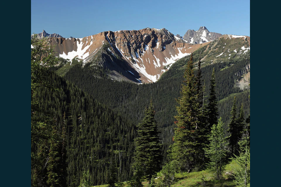 Rugged North Cascade ridges with lingering snow above a forested basin near Harts Pass.