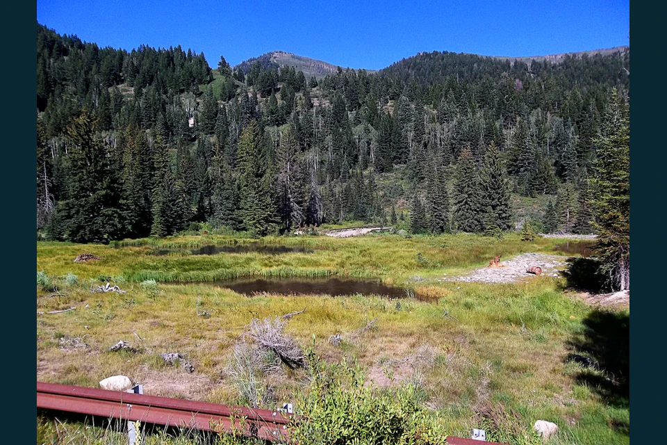 A rough mountain road climbing through Mineral Basin near Miller Hill.