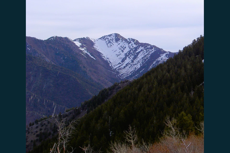 Grandview Peak rising across a forested section of the Wasatch Range.