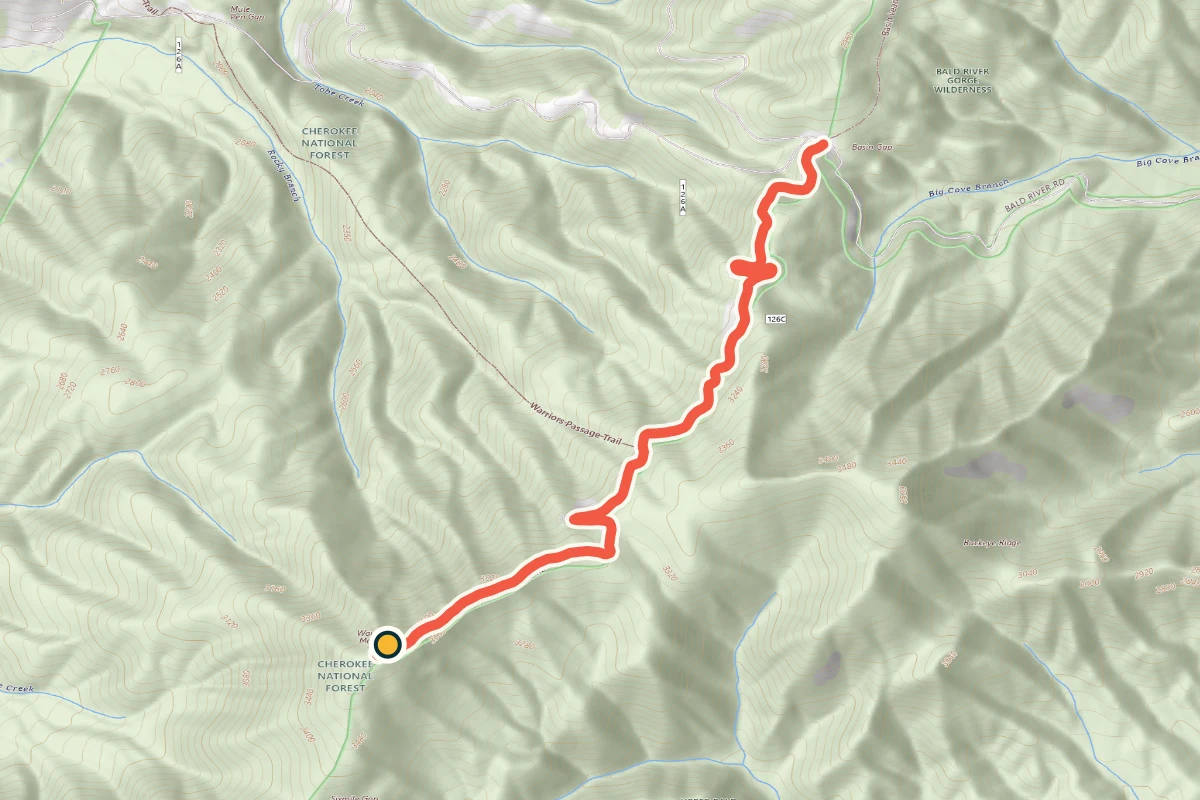 USGS topographic map of Forest Road 126C to Waucheesi Mountain